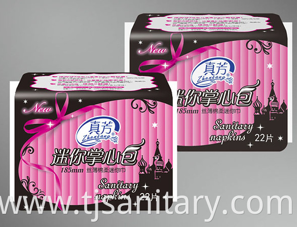 day sanitary napkin